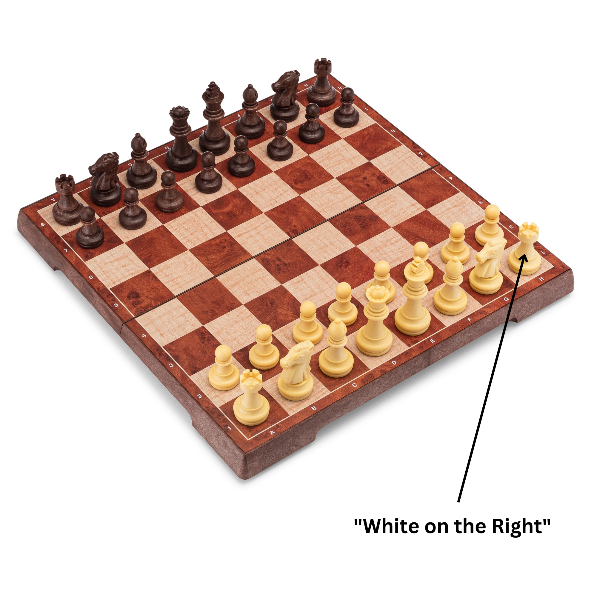 Chess Board Setup for Beginners RNK Gaming